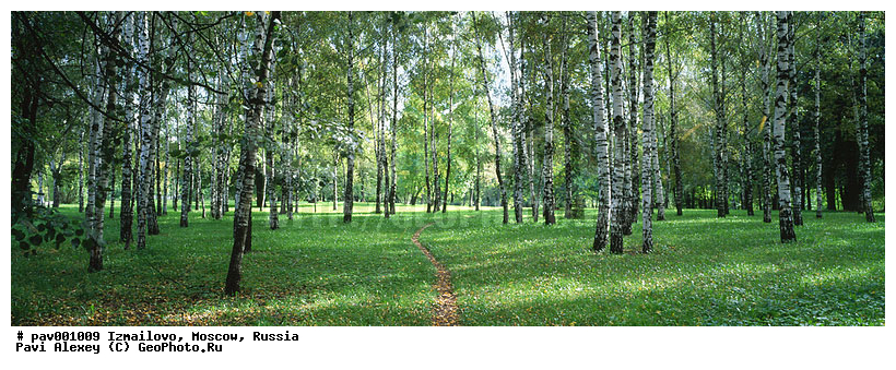 ���������, ������, ������, ���, ����, �����, ��������, ������