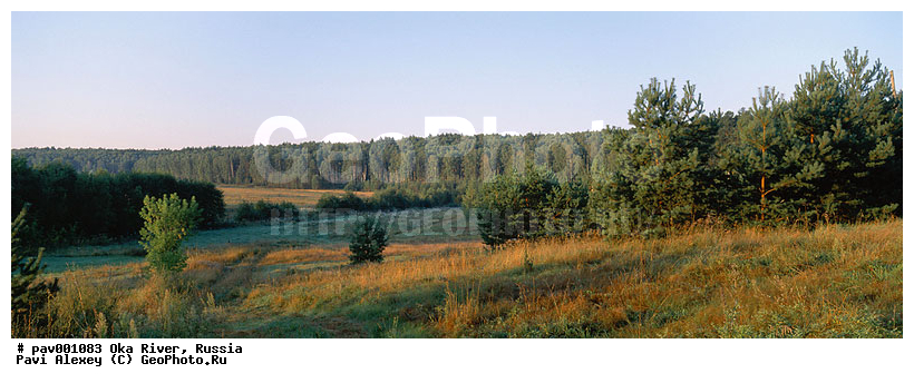 ������, ����, ���, ��������, ������, �����������, ����, ������, ����