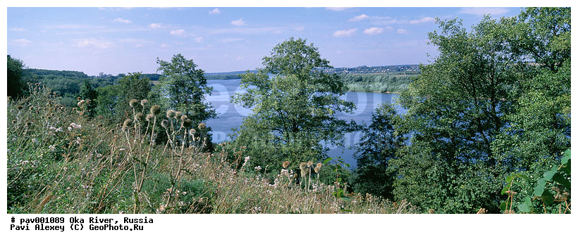 ������, ����, ���, ��������, ������, �����������, ����, ���� ���