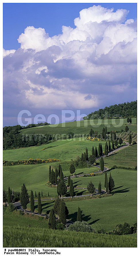 ������, ����������� ������, �������, ������, ����������, ��������, ������, �����