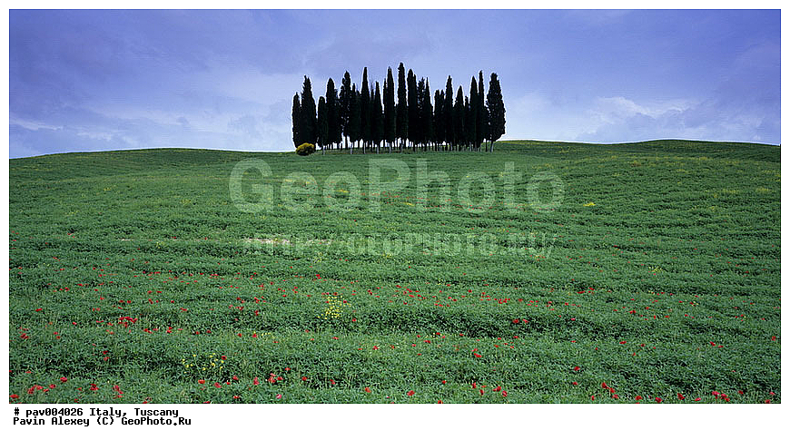 ������, ����������� ������, �������, �������, ��������, ������, ����