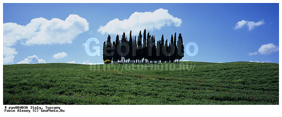 ������, ����������� ������, �������, �������, ��������, ������, ����