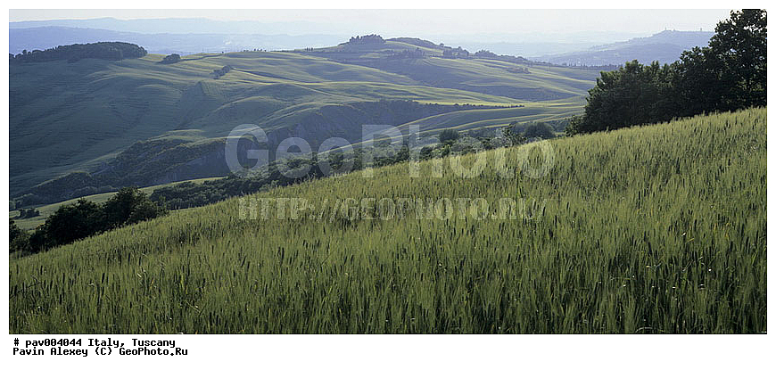 ������, ����������� ������, �������, ����, ����, ����, �����