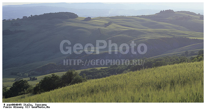 ������, ����������� ������, �������, ����, ����, ����, �����