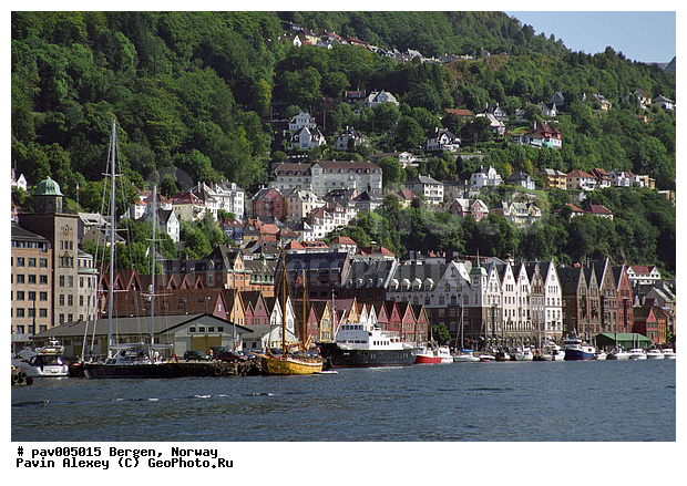 ������, ��������