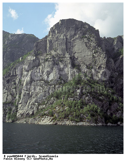 �����������, ������