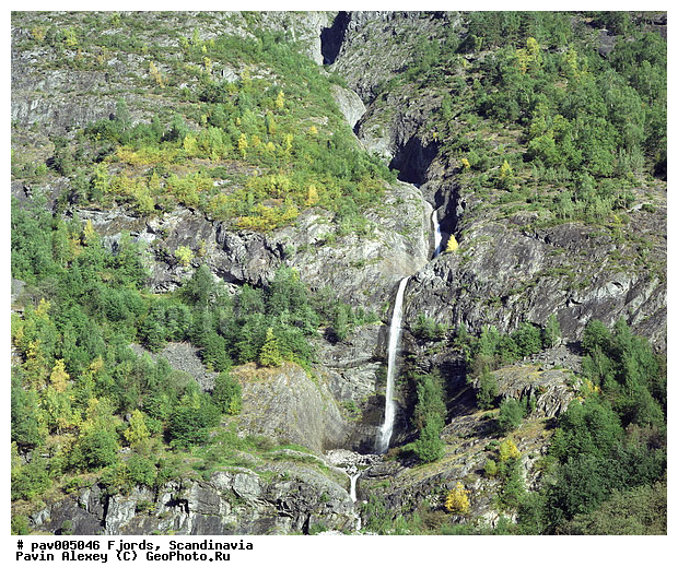 �����������, ������