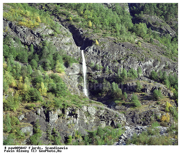 �����������, ������