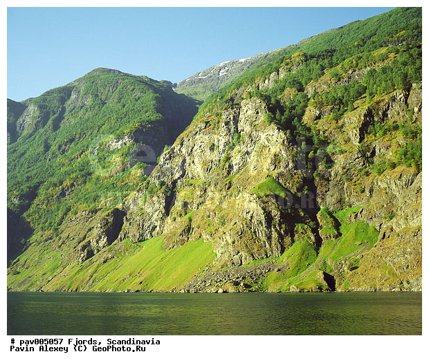 �����������, ������