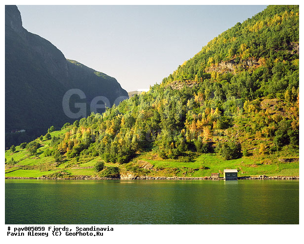 �����������, ������