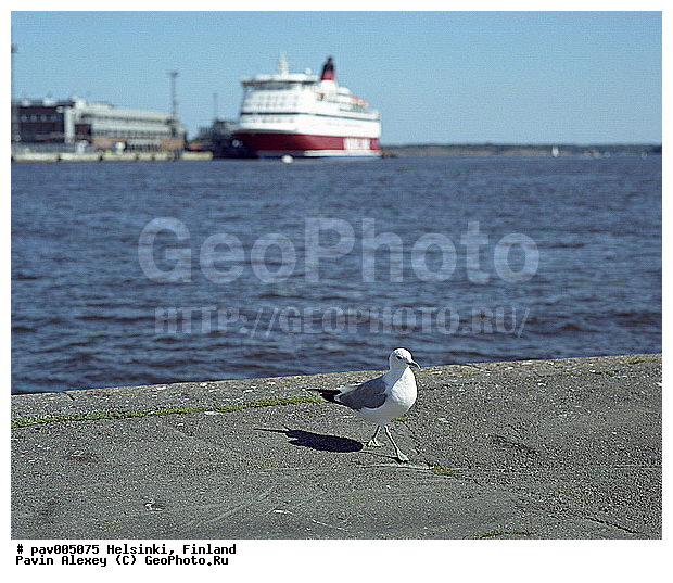 ���������, ���������