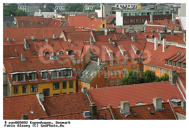 �����, ����������