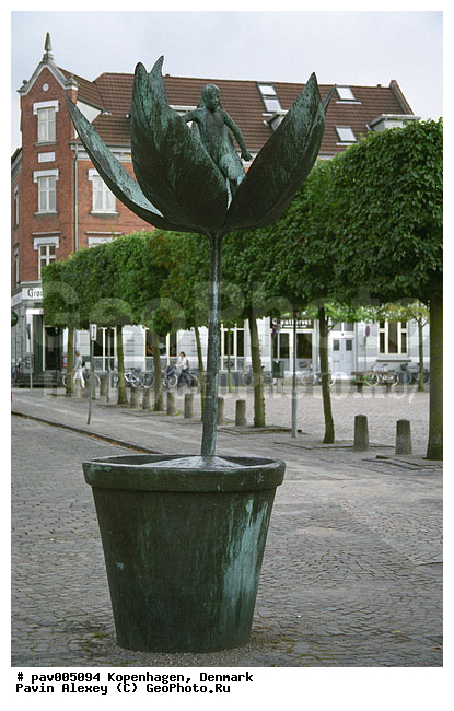 �����, ����������