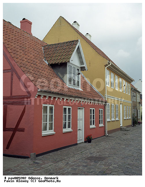 �����, ������