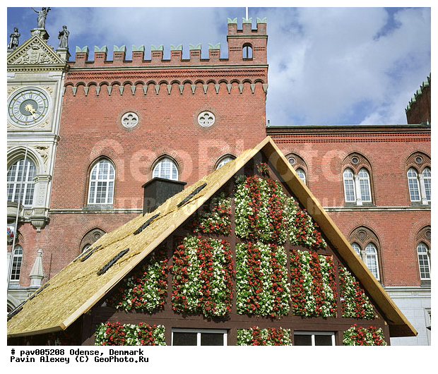 �����, ������