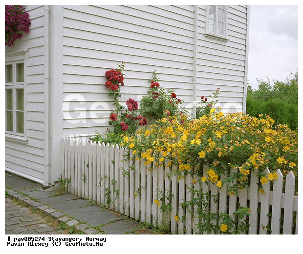 ��������, ���������