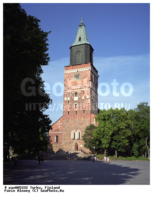 �����, ���������