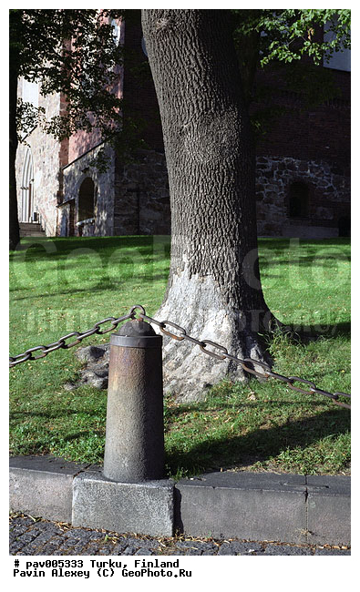 �����, ���������