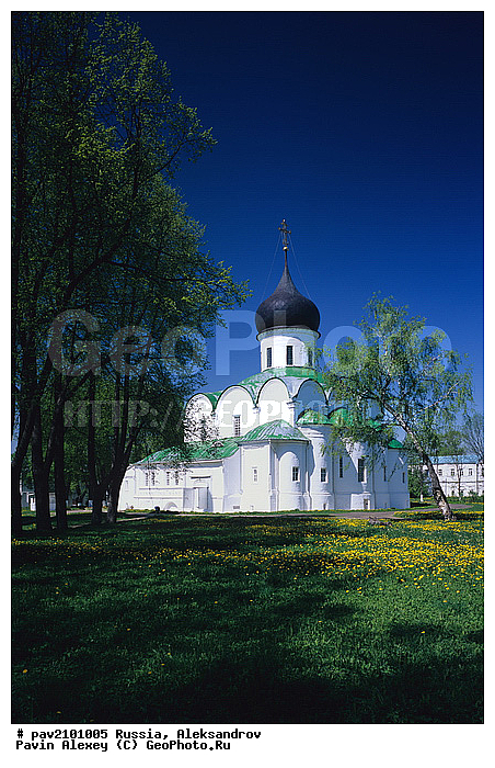 �����������, ������