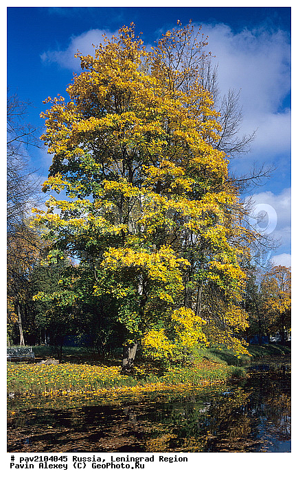 �������������� ����, ������, ������, ���, ��������, �����, ����