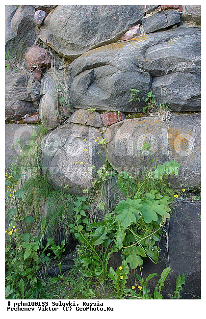 �������, ��������� ���������� ��������