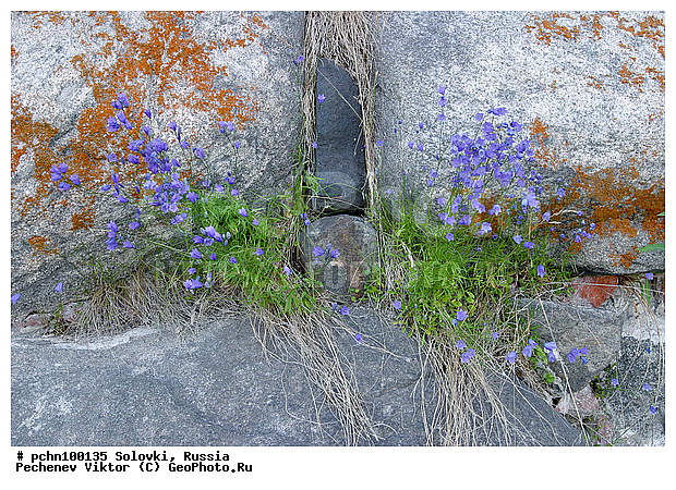 �������, ��������� ���������� ��������