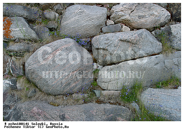 �������, ��������� ���������� ��������