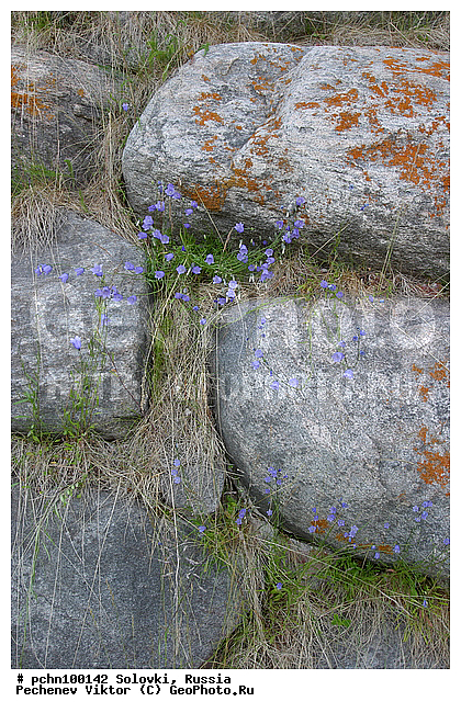 �������, ��������� ���������� ��������