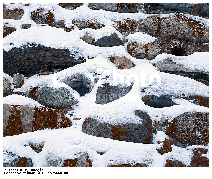 ���������� ���������, �������, ����, ����, ���������, �������, ����, ������������