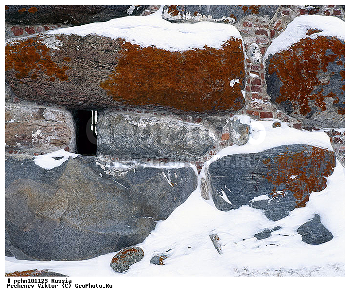 ���������� ���������, �������, ����, ����, ���������, �������, ����, ������������