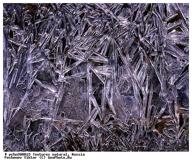 ���������, ���, �������, ���������, �������