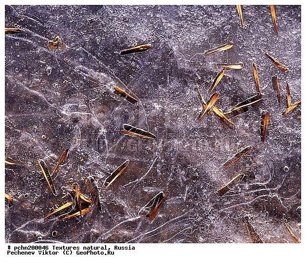 ���������, ���, �������, ���������, �������