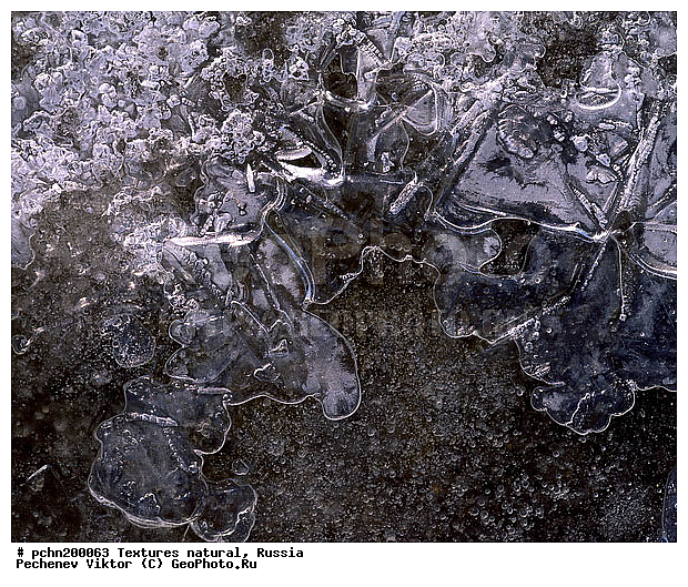 ���������, ���, �������, ���������, �������