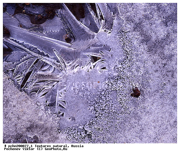 ���������, ���, �������, ���������, �������