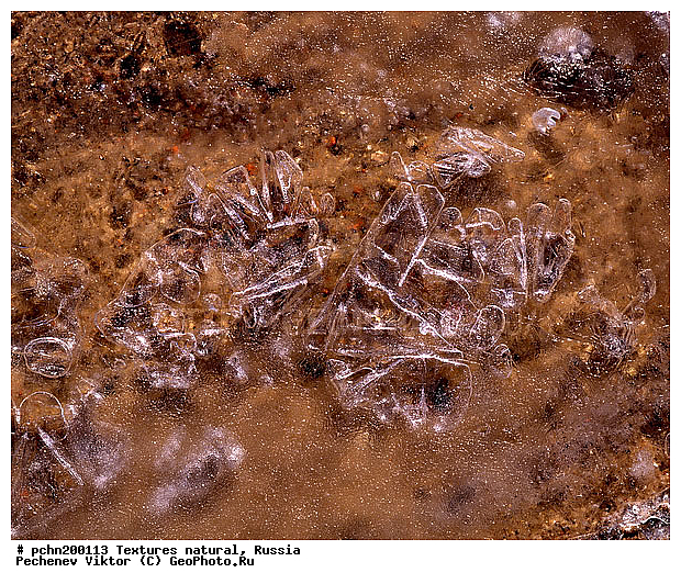 ���������, ���, �������, ���������, �������