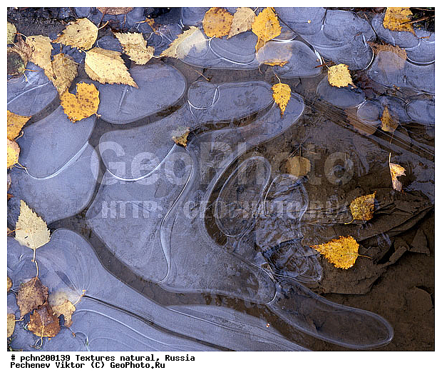 ���������, ���, �������, ���������, �������