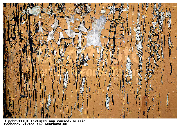 ���������, �������, �����������, ���������, ��������, ������, �����, �����������, ���������������