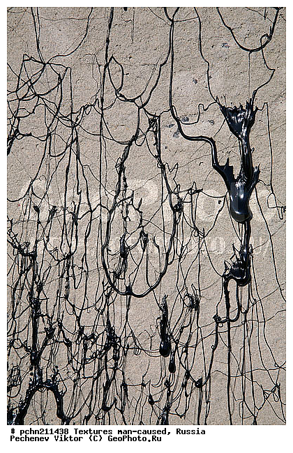 ���������, �������, �����������, ���������, ��������, ������, �����, �����������, ���������������