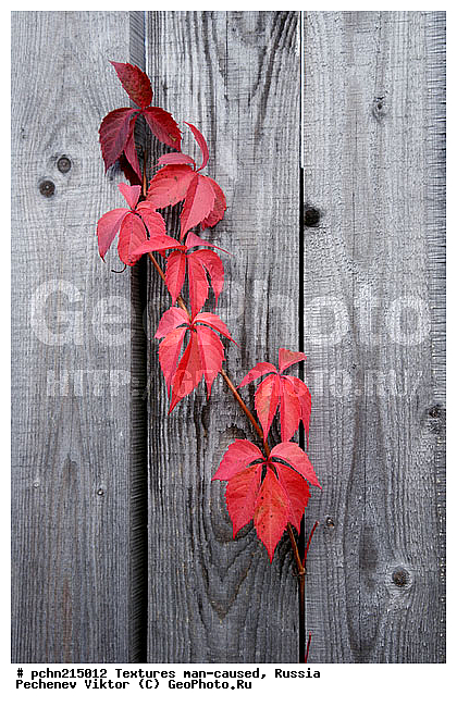 ���������, �������, �����������, ���������, ��������, ������, �����, �����������, ���������������