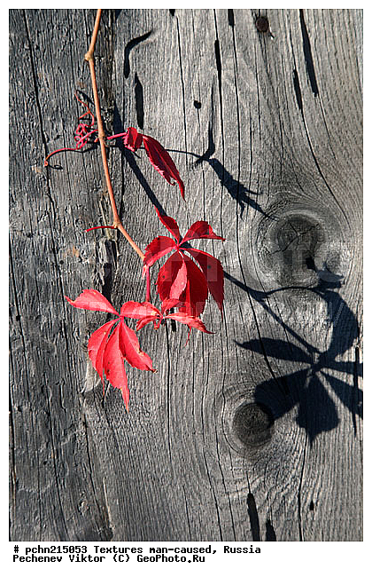 ���������, �������, �����������, ���������, ��������, ������, �����, �����������, ���������������