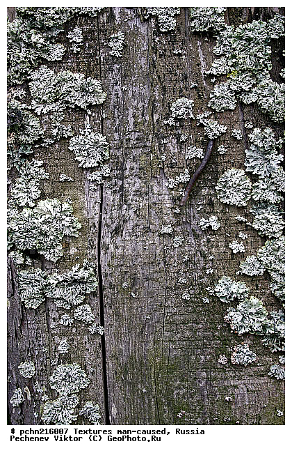 ���������, �������, �����������, ���������, ��������, ������, �����, �����������, ���������������