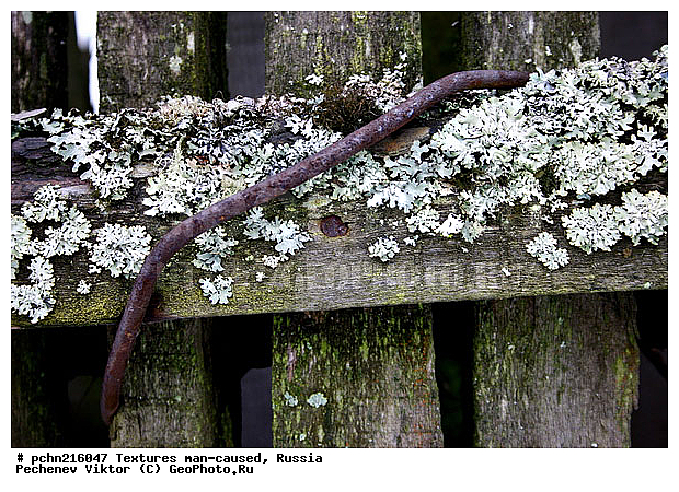 ���������, �������, �����������, ���������, ��������, ������, �����, �����������, ���������������