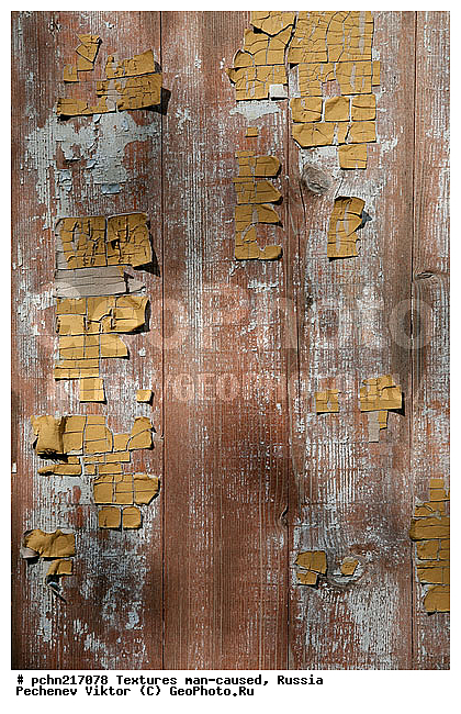 ���������, �������, �����������, ���������, ��������, ������, �����, �����������, ���������������