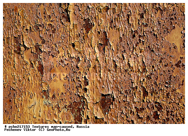 ���������, �������, �����������, ���������, ��������, ������, �����, �����������, ���������������