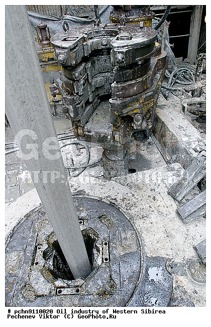 ��������, �����������, ������, ������, ��������������� ���������, �����, ��������, ��������