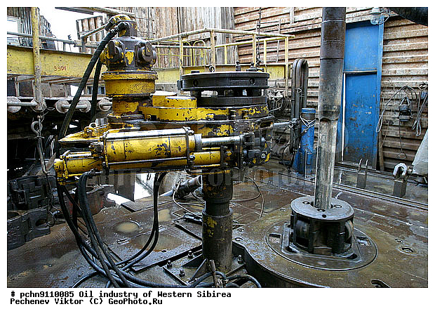 ��������, �����������, ������, ������, ��������������� ���������, �����, ��������, ��������