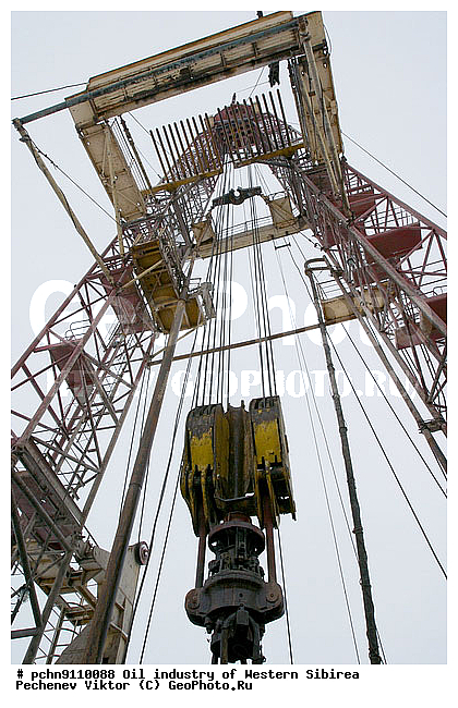 ��������, �����������, ������, ������, ��������������� ���������, �����, ��������, ��������