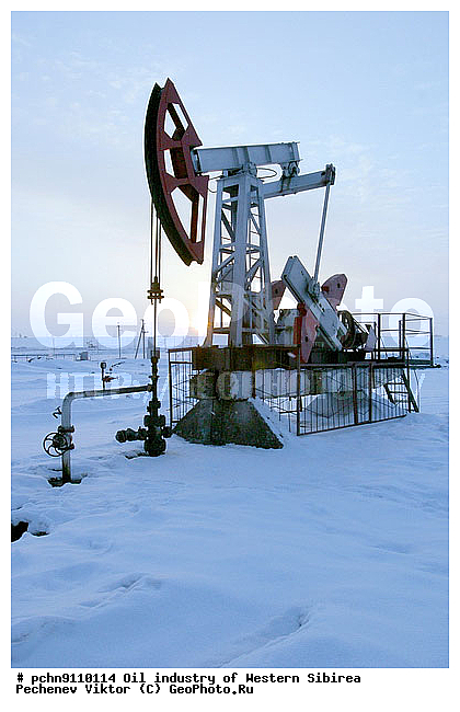 ��������, �����������, ������, ������, ��������������� ���������, �����, ��������, ��������