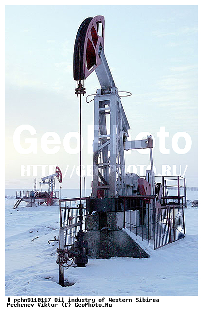 ��������, �����������, ������, ������, ��������������� ���������, �����, ��������, ��������