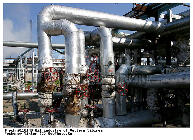 ��������, �����������, ������, ������, ��������������� ���������, �����, ��������, ��������